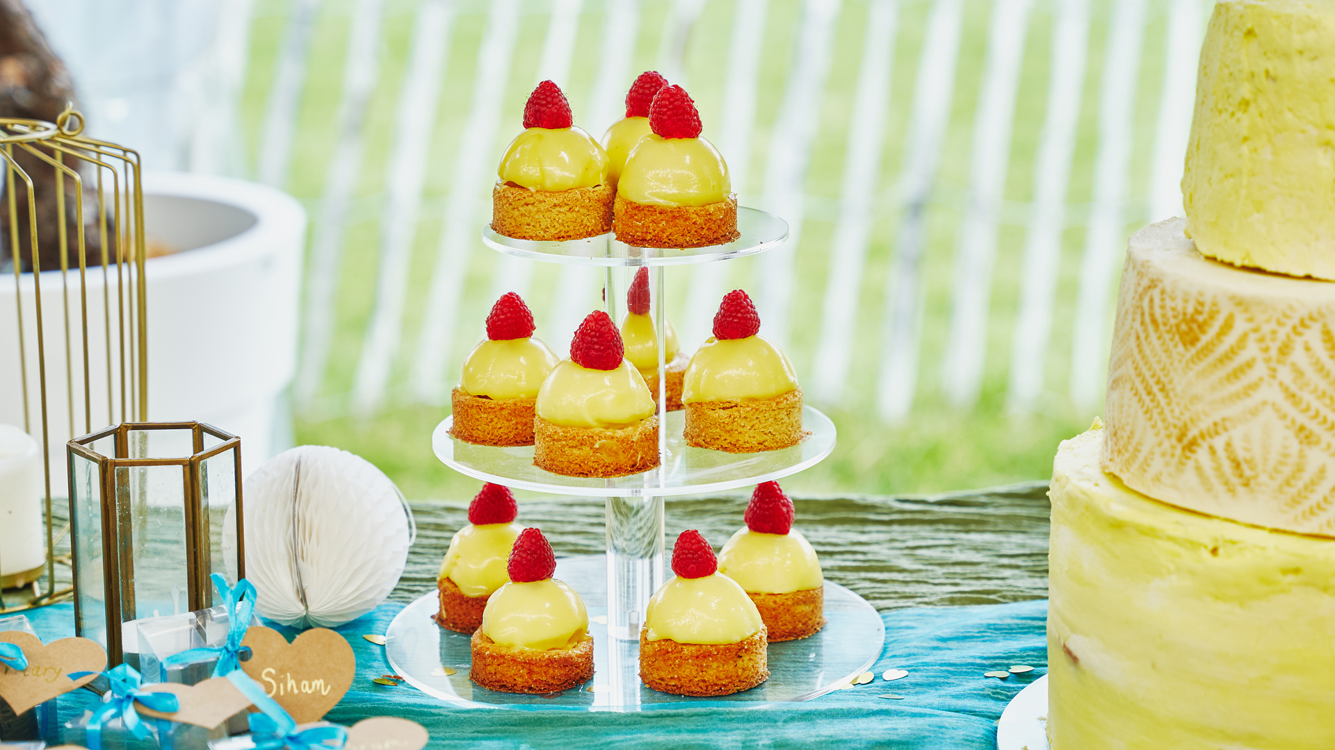 Liefde kent geen grenzen – Zongebakjes