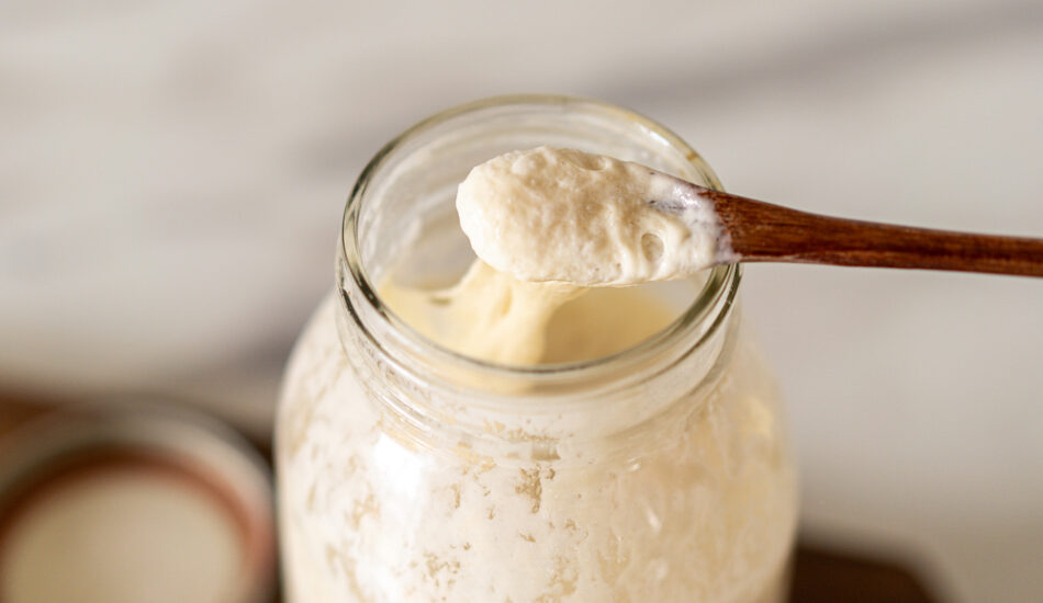 zuurdesemstarter artikel