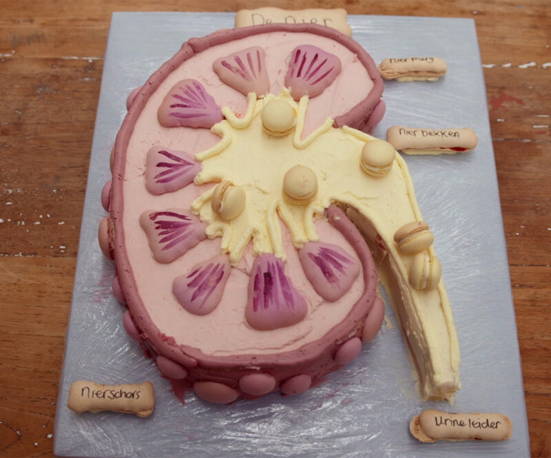 Macarontaart met passievrucht, chocolade en verveine