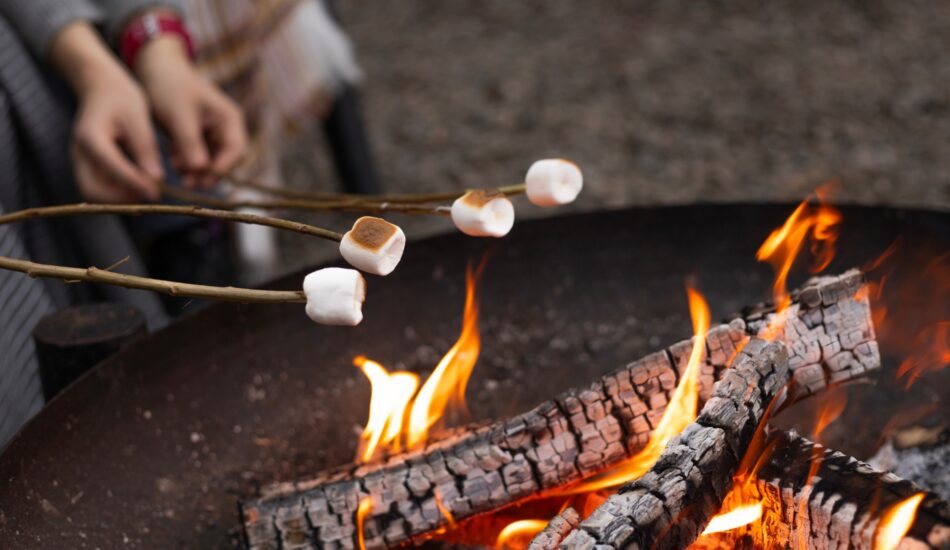 s'mores citroentaart