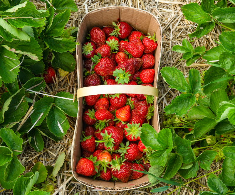 Makkelijke toetjes: dit zijn 5 heerlijke recepten met aardbeien
